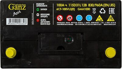 GANZ Asia GAA1000 100 А·ч 830 А (EN), обратная полярность, 304x173x220 мм