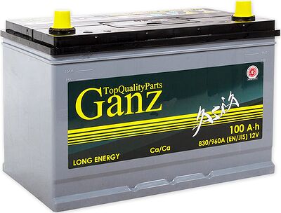 GANZ Asia GAA1000 100 А·ч 830 А (EN), обратная полярность, 304x173x220 мм