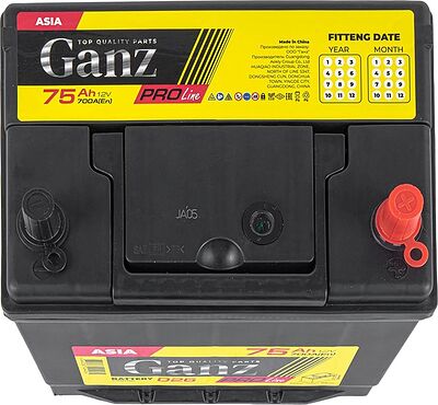 GANZ PRO-Line JIS G1180750 75 А·ч 700 А (EN), обратная полярность, 258x173x220 мм