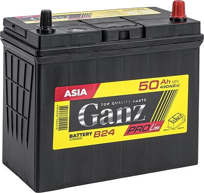 GANZ PRO-Line JIS G1150500 50 А·ч 430 А (EN), обратная полярность, 240x129x220 мм
