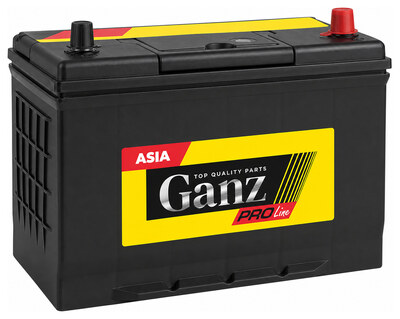 GANZ PRO-Line JIS G1191000 100 А·ч 830 А (EN), обратная полярность, 304x173x220 мм