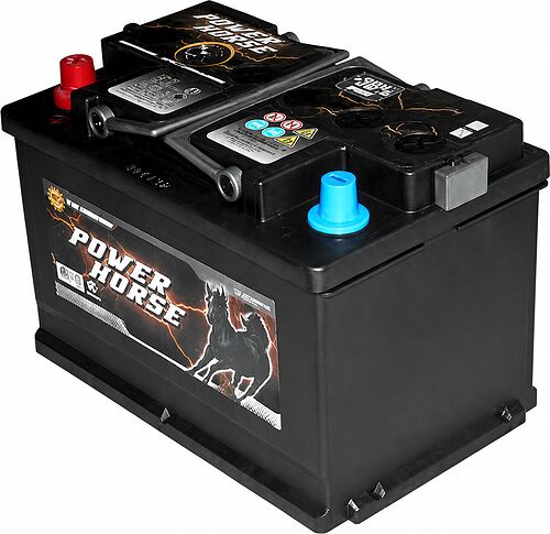 Калининград Power Horse