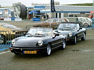 Подбор шин на Alfa Romeo Spider 1990