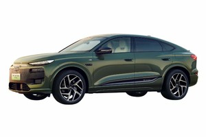Размер колёс на Audi Q6L Sportback e-tron 2025 Подбор шин на Audi Q6L Sportback e-tron 2025