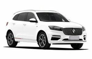 Автомобильге шина және дисктерді таңдау Borgward BX7 TS. Шины на Borgward