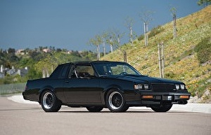 Подбор шин на Buick Grand National 1982