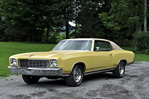 Размер колёс на Chevrolet Monte Carlo 1972 Подбор шин на Chevrolet Monte Carlo 1972