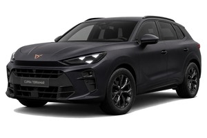 Автомобильге шина және дисктерді таңдау Cupra Terramar. Шины на Cupra
