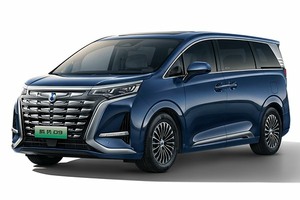 Подбор шин на Denza D9 2024