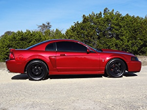 Подбор шин на Ford Mustang Cobra 2003