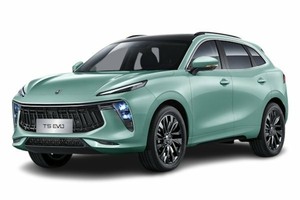 Автомобильге шина және дисктерді таңдау Forthing T5 EVO. Шины на Forthing