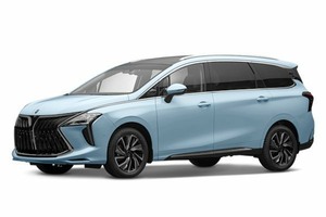 Подбор шин на Forthing U-Tour M4 Yacht 2023