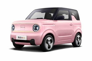 Автомобильге шина және дисктерді таңдау Geometry Panda Mini. Шины на Geometry