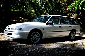 Размер колёс на Holden Commodore 1993 Подбор шин на Holden Commodore 1993