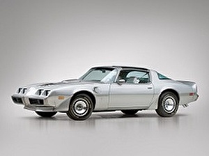 Размер колёс на Pontiac Firebird 1981 Подбор шин на Pontiac Firebird 1981