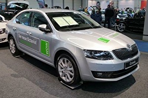Размер колёс на Skoda Octavia Scout 2010 Подбор шин на Skoda Octavia Scout 2010