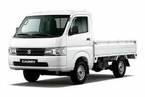 Размер колёс на Suzuki Super Carry Pro 2026 Подбор шин на Suzuki Super Carry Pro 2026