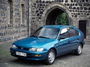 Размер колёс на Toyota Corolla 1998 Подбор шин на Toyota Corolla 1998