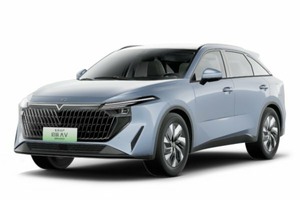 Подбор шин на Venucia V-Online DD-i 2024