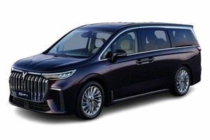Размер колёс на Voyah Dream 2023 Подбор шин на Voyah Dream 2023