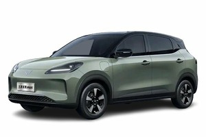 Подбор шин на Wuling Binguo Plus 2024