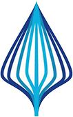 Размер колёс на Elaris  