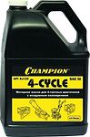 Champion 4-Cycle 30