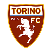 Өзара іс-қимыл Torino FC
