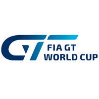 Өзара іс-қимыл GT World Cup