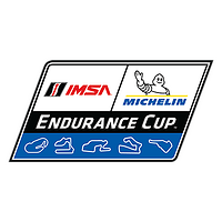 Өзара іс-қимыл IMSA Michelin Endurance Cup