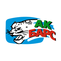 Өзара іс-қимыл Ak Bars, Bars and Irbis