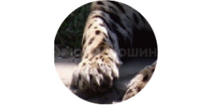 Технология Эргономикалық дизайн