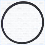 AJUSA 24043800 прокладка, впускной коллектор на RENAULT MEGANE III Наклонная задняя часть (BZ0_)