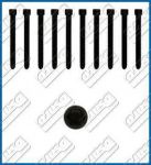 AJUSA 81017200 Комплект болтов ГБЦ AUDI/VW M11x96 1.8/ 104.930 (058103385B)