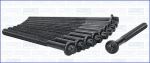 AJUSA 81029300 комплект болтов головки цилидра на PEUGEOT 206 SW (2E/K)