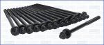 AJUSA 81039900 комплект болтов головки цилидра на 5 (E60)