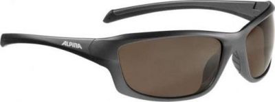 Очки солнцезащитные ALPINA 2017 DYFER tin matt-black (б/р:UNI)