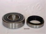 Ashika 44-29002 комплект подшипника ступицы колеса на ISUZU TROOPER (UBS)