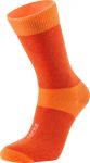 Носки Bjorn Daehlie 2016-17 Sock ATHLETE LIGHT Red (US:S)