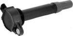Delphi GN10310-12B1 катушка зажигания на CHRYSLER 300 C Touring (LX)