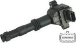 DELPHI GN10504-12B1_катушка зажигания! Porsche 911/Boxster/Cayman 2.5-3.8i 96> (GN1050412B1)