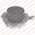 Delphi WP2254 водяной насос на FIAT MAREA (185)