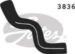 Gates 3836 шланг радиатора на PEUGEOT 306 (7B, N3, N5)