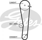 GATES Ремень ГРМ HYUNDAI ACCENT 1999-> 1.3 1.5 Getz 02-> 1.3 /G4EB (2431222613, 5568XS)