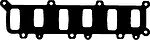 Glaser X86234-01 прокладка, впускной коллектор на DAF 75 CF