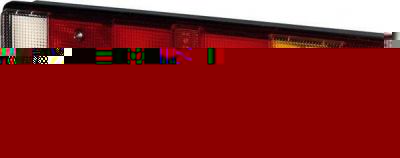 Hella 2VP 008 204-161 задний фонарь на DAF 95
