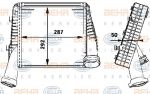 HELLA Интеркулер PORSCHE CAYENN... (8ml376723-481)