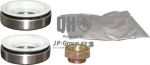 JP 1541302219 комплект подшипника ступицы колеса на FORD FIESTA фургон (FVD)