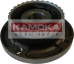 KAMOKA 5500002 Комплект подшипника ступицы колеса