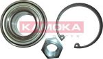 KAMOKA 5600094 комплект подшипника ступицы колеса на PEUGEOT 208